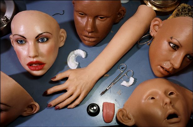 Various components of the sex dolls